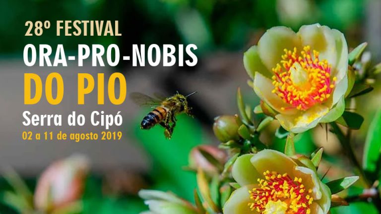 Festival do Ora-Pro-Nobis - Portal Pomerode