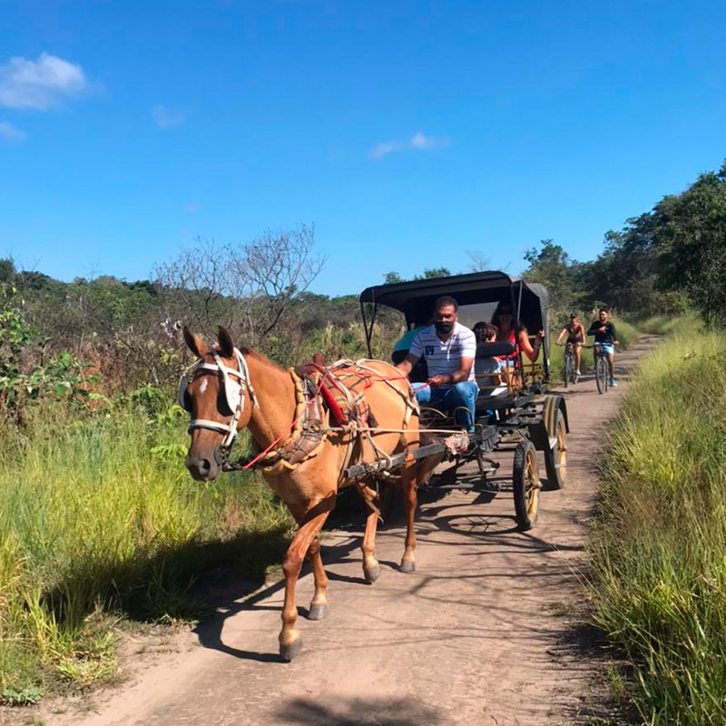PASSEIO-DE-CHARRETE